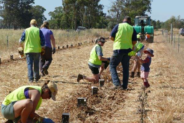 Photograph of people installing drainage equipment, one of the adults is explaining something to a child.